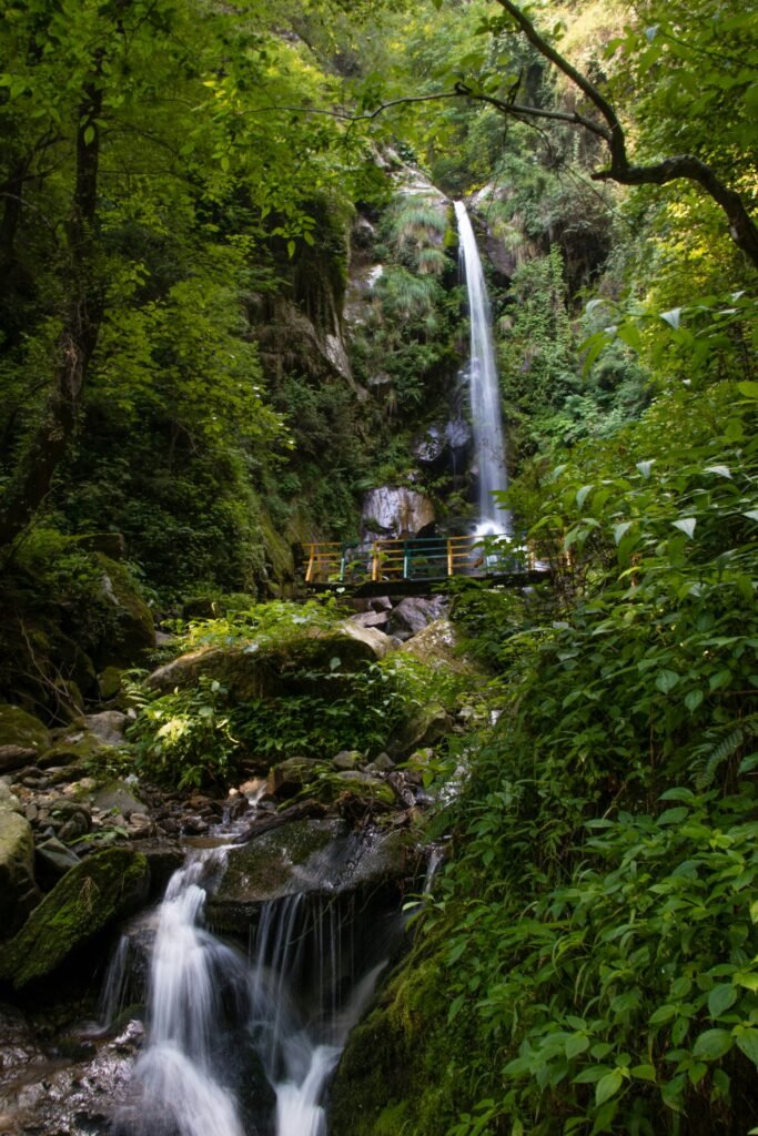 Waterfall dropping through dense forest