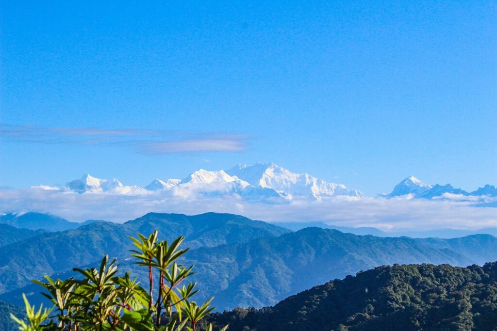 Himalayan snow peaks seen across green Sikkim hills