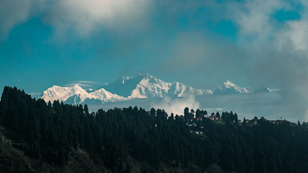 Kanchenjunga range rising above pine forest