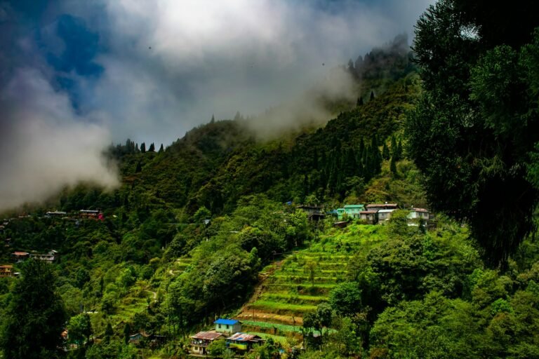 Day Trips from Pelling: Yuksom, Tashiding, Rinchenpong & Singshore Bridge