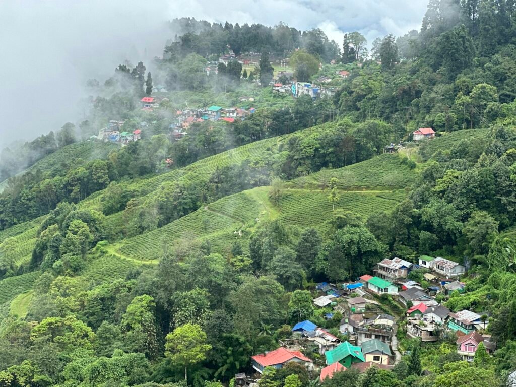 Village houses scattered across misty green hills